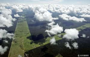 我們為何要關心雨林存活