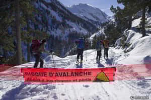 阿爾卑斯山雪崩學生亡   老師被控「過失殺人」