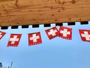 搬來住就給你76萬 瑞士小鎮招募新成員