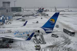 大雪癱瘓歐洲各處