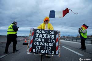 嚴防法國「黃背心之亂」  埃及政府：不准賣