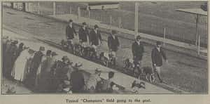 風馳電掣！跑狗將夜上海推向巔峰