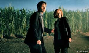 《X 檔案》再開拍，要感謝 Netflix？