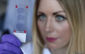 恐失國際地位?   蘇格蘭大學憂獨立使人才外流