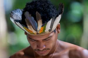 原住民的存亡關頭 巴西部落的防疫困境