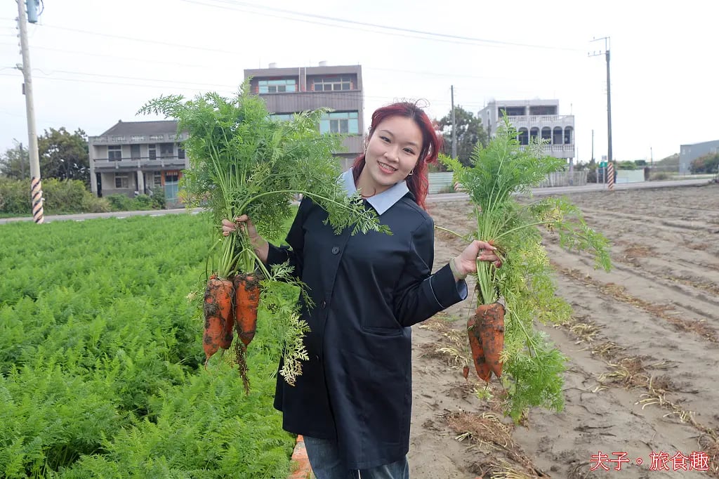 2025台南市將軍區紅蘿蔔木棉爭鮮搶艷同樂會 拔紅蘿蔔 X 賞木棉花