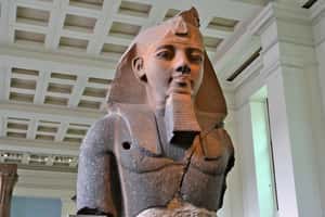 法老出門做健檢  拉美西斯二世的巴黎之旅(11/05更新)