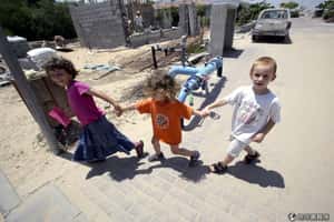 看透加薩(二)：人口持續激增教育和就業資源告急！