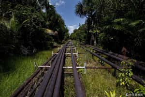 8000桶石油流入亞馬遜  石油公司：秘魯原住民做的