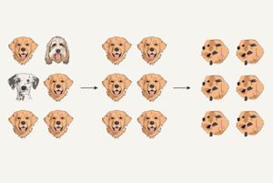 AI「近親繁殖」可能讓模型中毒　研究：人工智慧生成內容越氾濫，訓練越困難