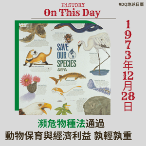 《瀕危物種法》通過 動物保育與經濟利益 孰輕孰重  