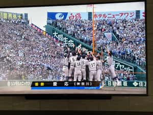 睽違107年！升學名校慶應高中奪甲子園優勝「會念書又會打球」