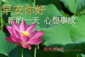 【迷因專題03】「你在大聲什麼啦！」 迷因文化在台灣