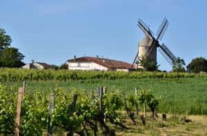 立法保護雞啼、蟬鳴 法國政府：鄉村不是寧靜天堂