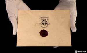 【魔法在心中的地球 24小時】09/18  來自霍格華茲的入學信