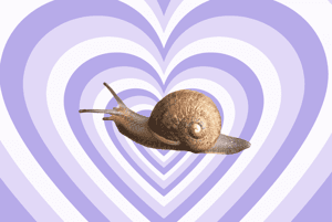 蝸牛的母胎單身戀愛大作戰！只有四萬分之一的機會，紐西蘭插畫家為「左旋蝸牛」Ned徵婚