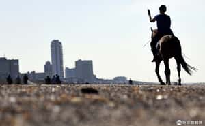 沙灘撿到骨灰罈  在荷蘭撿到德國人骨灰之謎