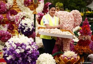 女王也來賞花 英國雀兒喜花展盛大開幕