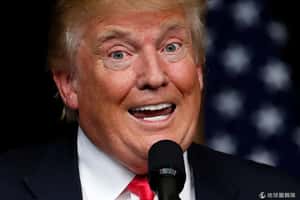 一窺川普twitter的小秘密