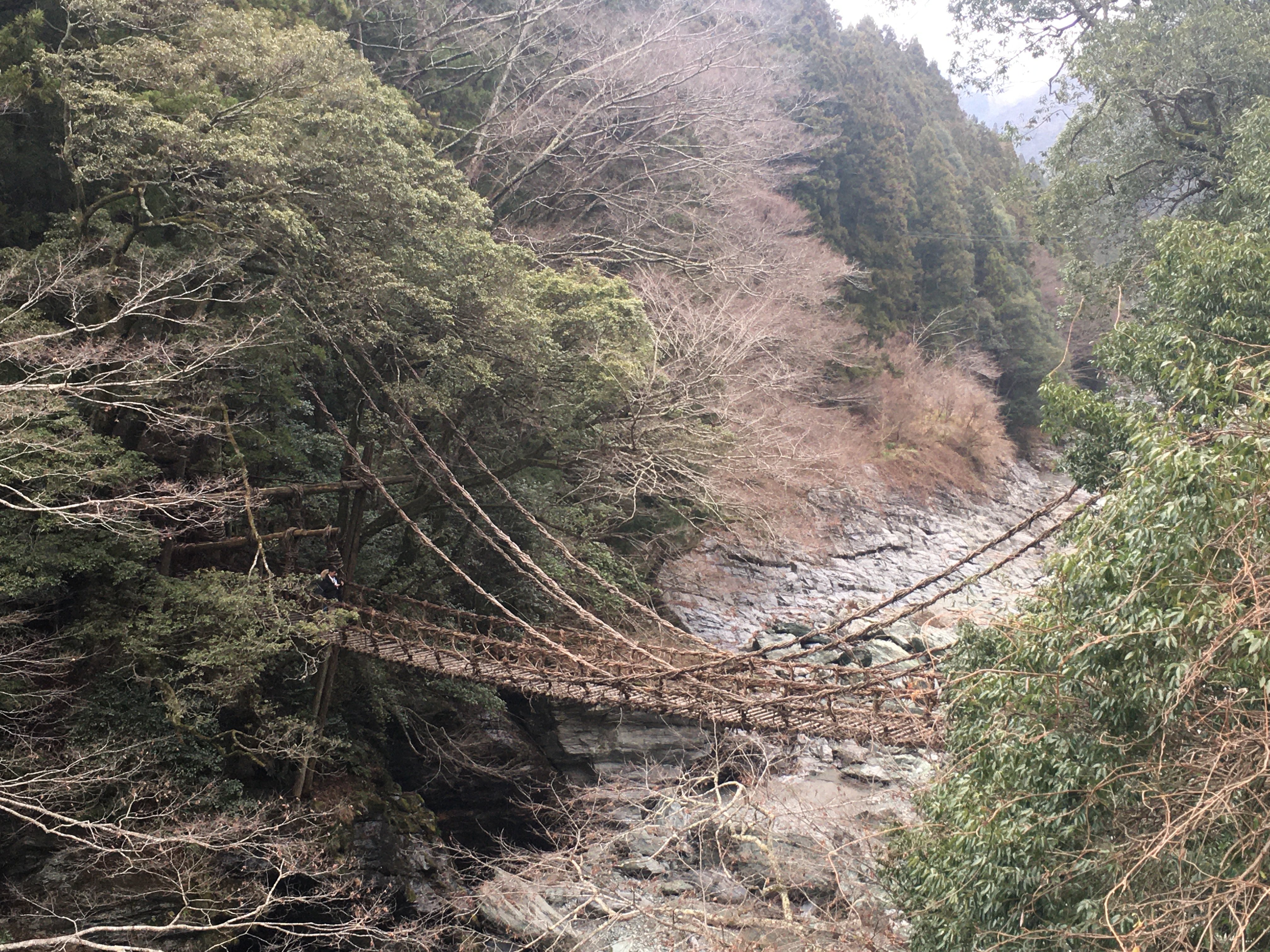 祖谷蔓橋
