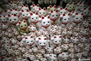  「招福貓」發源地走一遭  日本東京豪德寺