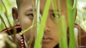 【地球放映室】肚子餓下山發現真相  電影「禪在此山中」從小沙彌的雙眼看世界