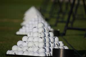 加州推UBI　求破貧窮金字塔