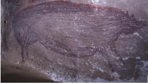 走到哪，畫到哪 印尼發現地表最老洞穴畫