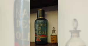 傳說裡的黑死病偏方  來自十四世紀的「四賊醋」