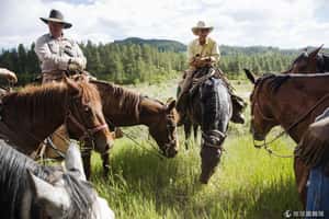 美國牛仔遵循傳統   群山間移動防止沙漠化
