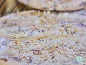 活蛆乳酪你敢咬一口？世界上最危險的乳酪，卻是義大利小島居民的傳統美食！