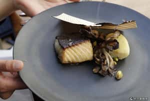 圓鱈不是鱈魚 調查組織：五分之一魚亂標示