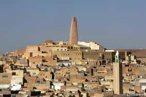 阿爾及利亞種族衝突釀22死