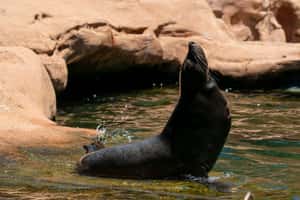 【飛行船通訊】就算去不了巴黎，也要守在電視前收看轉播幫奧運選手加油！