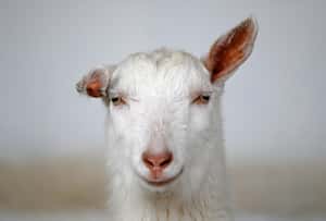 【地球 24小時】02/19 蝦毀，你周六居然不用補班？