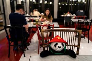 【地球 24小時】05/14 一人吃飯，熊貓作伴