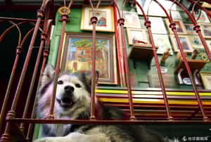 你人生中該去一次的城市 (下)