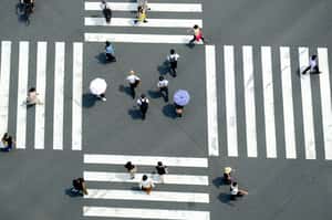 靠左靠右？誰先誰後？原來都有邏輯