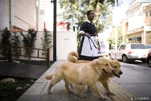 禁止看護24小時工作 巴西新法保障勞工權益