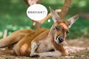 【飛行船通訊】沒有暑假的社畜也想休假在家打電動、躺平吹冷氣呀！