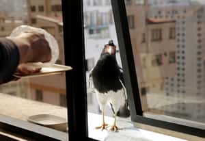 【地球 24小時】09/27  今天，我想來點...... 