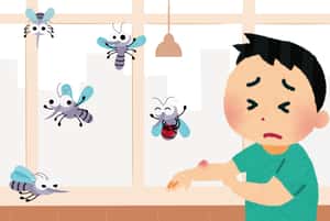 為什麼被叮的總是你？科學家捕捉5000萬個蚊子飛行軌跡　揭密「吸血模式」啟動條件