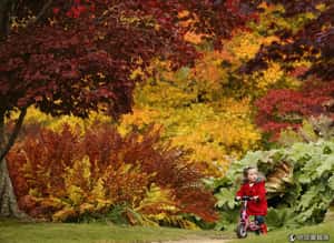 研究：人類天生愛保育