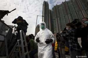 憂疫情擴大  香港撲殺2萬隻活禽