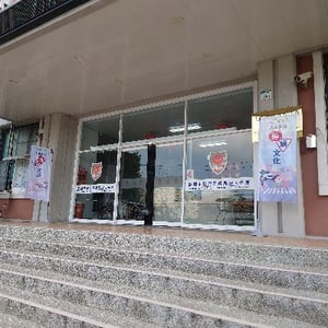 高雄市政府警察局湖內分局