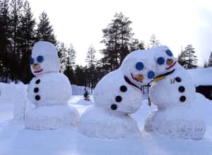 全世界我們最幸福？芬蘭有話說