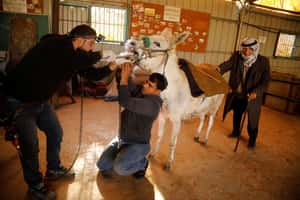 【地球 24小時】03/09 天下牙醫一般可怕