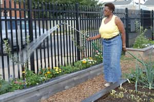 南非旱災到 澆花就要罰錢