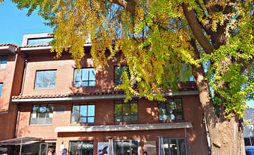 首爾咖啡廳｜STAFF PICKS스태픽스：秋季西村必訪的銀杏樹溫馨咖啡廳