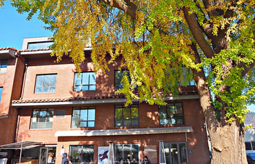 首爾咖啡廳｜STAFF PICKS스태픽스：秋季西村必訪的銀杏樹溫馨咖啡廳